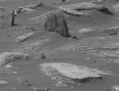 شاهد.. جسم غامض على المريخ يشبه الأشجار المتحجرة