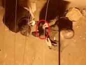 بالفيديو.. قارئ يرصد تجارة المخدرات "عينى عينك" فى منطقة الساحل بشبرا مصر