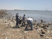 بالصور.. طلاب الثروة السمكية بالسويس يجمعون المخلفات بشاطئ الكورنيش
