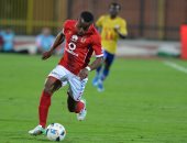 غرفة الأخشاب: تنويع مصادر الخام والتواجد فى العمق الأفريقى هدف زيارة الجابون