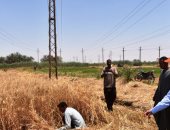 محافظ أسوان يتفقد حصاد القمح بمشروع وادى النقرة