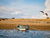 مدينة وصنعة..ليه الفيوم بلد البط والكتاكيت؟