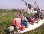 بالصور ..نبات ورد النيل يهدد مليون مزارع و100 ألف صياد بالدقهلية