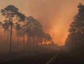 ارتفاع حصيلة ضحايا حرائق الغابات فى البرتغال لـ 39 قتيلا