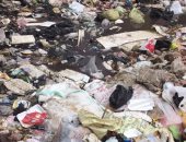 قارئ يشكو تراكم القمامة بقطعة أرض فضاء بشارع حسين غالب فى المنصورة
