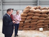 محافظ قنا: توريد 49 ألف و934 طن من القمح للشون والصوامع المحافظة