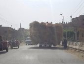 "إسعاف كفر الشيخ" يحذر من وقوع حوادث بسبب نقل قش القمح بين القرى والمراكز 