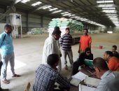 بالصور.. رئيس مدينة الحامول تحذر من توريد قمح مختلط وتطالب بصرف مستحقات المزارعين