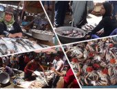 غرفة القاهرة التجارية: الإنتاج السمكى يغطى احتياجات السوق حتى نهاية رمضان