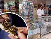 الإندبندنت: اليونان تقنن استخدام الماريجوانا لأغراض طبية 