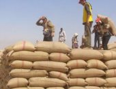 ضبط تشكيل عصابي تخصص فى سرقة القمح الحكومى المستورد بالبحيرة