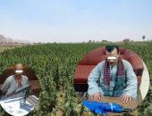 بالصور.. 30 مدرعة وتشكيلات أمنية والعمليات الخاصة يحاصرون تجار السلاح والمخدرات بالصعيد.. الداخلية تقتحم 4 بؤر إجرامية وتطارد المسجلين بالزراعات والجبال.. وضبط 50 قطعة سلاح وإبادة 32 فدان مخدرات