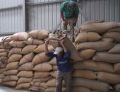 رصيد صومعة الحبوب والغلال للقطاع العام من القمح 56268 طنًا بميناء دمياط