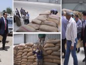 الرقابة الإدارية تشن حملات موسعة على صوامع القمح 