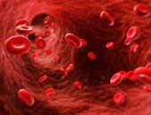 باحثون يختبرون الإمكانات المضادة لفيروس كورونا بكرات الدم الحمراء