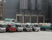 محافظ الشرقية : توريد 147 ألف و166 طن قمح للصوامع والشون 