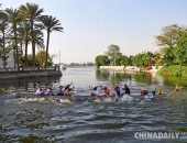 بالصور.. مهرجان قوارب "التنين" الصينى على ضفاف النيل