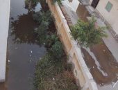 "مدرسة أم مستنقع".. المجارى تحول مدرسة لبركة مياه فى أبيس 17 بالإسكندرية