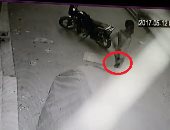 قارئ يرسل فيديو لسرقة موتوسيكل من أمام منزله بسوهاج