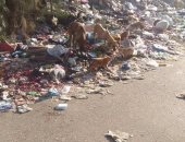 بالصور.. القمامة تحاصر مدخل عزبة أبو مرعى بالقليوبية والأهالى يستغيثون