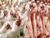 18 شركة بأوروجواى تصدر اللحوم إلى مصر بعد خضوعها للتفتيش الصحى  