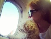 بالصور.. شاهد مهرجان "كان" السينمائي شكله ايه على "إنستجرام"