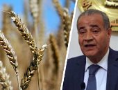 وزير التموين لـ"اليوم السابع": نتوقع استلام 4 ملايين طن قمح من المزارعين