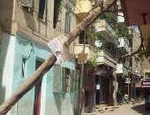 سقوط شجرة على أسلاك الكهرباء يهدد أطفال "زفتى"