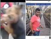 غضب على فيسبوك بعد انتشار فيديو "ضرب الكلب" ومطالبات بعقوبة الفاعل