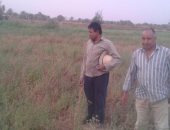 بالصور .. مواطن يطالب بإزالة تعديات على 50 فدانا للدولة فى الداخلة