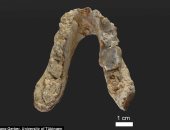 العثور على نصف فك للإنسان الأول عمرها 180 ألف سنة داخل كهف بإسرائيل
