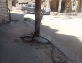 قارئ يشكو من كابلات كهرباء مكشوفة فى حى الساحل