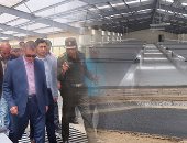 محافظ كفر الشيخ يكشف تفاصيل أكبر مزرعة سمكية فى الشرق الأوسط قبل افتتاحها الشهر المقبل.. مساحتها 3000 فدان وتضم 1296 حوضا.. بها منطقة تفريخ بطاقة 2 مليار زريعة جمبرى و20 مليون للأسماك.. وتوفر 15ألف فرصة عمل