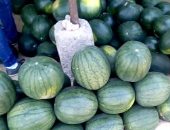 إيران ترسل شحنة بطيخ  تزن 247 طنا إلى قطر 