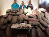 بالصور.. ضبط 3 عاطين بحوزتهم 250 كيلو "بانجو" بالشرقية