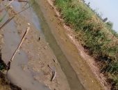 بالصور.. أهالى "الاتحاد والرشاد" بالدقهلية يستغيثون بوزير الرى لحفر ترعة بعزبتيهم