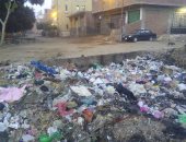 بالصور.. القمامة تحاصر الأهالى فى شوارع قرية قلما بالقليوبية 