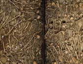 العثور على رفات 9  آلاف جندى منذ  400 سنة.. وسبب الوفاة مفاجأة