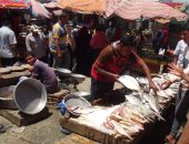 بالصور.. قرارات وقف الصيد بخليج السويس حبر على ورق.. القرارات لا تنفذ وخليج السويس يفقد ثروته السمكية بسبب غياب الرقابة.. ومطالب بتنفيذ القانون على الجميع.. والمحافظ: لن نسمح بالتجاوزات