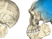 بالصور.. اكتشاف عظام إنسانية يعود تاريخها إلى 300 ألف سنة فى كهف بالمغرب