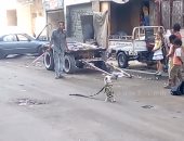 بالفيديو.. عم معاطى الحاوى: الكلبة بابزى مصدر رزقى وهى اللى بتصرف على أسرتى