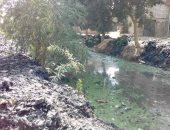 بالصور.. أهالى قرية العباسية يشكون من مصرف مياه ملوث بمحافظة المنيا
