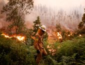 بالصور.. استمرار حرائق الغابات فى البرتغال والدفع بمزيد من عناصر الأطفاء