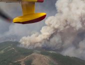 بالصور..  البرتغال تدفع بمزيد من طائرات الإطفاء للسيطرة على حرائق الغابات
