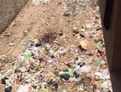 بالصور.. تراكم القمامة يزعج أهالى شارع الأجهورى بمدينة طوخ بالقليوبية
