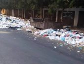 بالصور.. القمامة تحيط بمدرسة طارق بن زياد بالإسكندرية