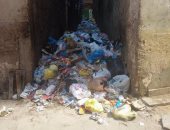 انتشار القمامة فى شوارع باكوس بالإسكندرية.. وقارئة تطالب بصناديق لجمعها