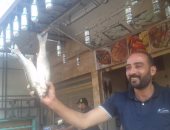 بالصور.. إقبال المواطنين على شراء الأسماك فى دمياط قبل عيد الفطر