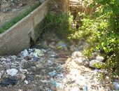 شكوى من انسداد الترعة الرئيسية فى مركز بركة السبع بالمنوفية