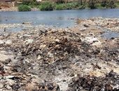 بالصور.. القمامة داخل نهر النيل فى جزيرة العسيرات محافظة سوهاج